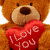 Brown teddy bear holding red heart-shaped pillow with 'I Love You' text, static pose across all frames.