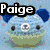 Five distinct pixelated cartoon animal icons with 'Paige' text overlays, each with unique color schemes and features.