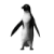 Black-and-white penguin animation showing sequential head turns from front to right