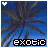 iconhell_exotic beauty