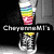 A four- of pixelated images: a rainbow-striped leg with text, a grayscale eye with text, a colorful flower, and a blank