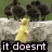 Animated sequence of a yellow duckling walking past black ducks on a stone wall with text overlays.