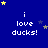 Blue background with repeated 'i love ducks!' text and yellow/grey stars in pixelated style.