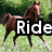 A horse in motion with partial text overlays on a grassy background, transitioning to a dirt track scene with a single letter and then a colorful abstract background.
