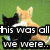 Two dogs sit on grass with text overlay; a broken heart and 'RAWRI!' graphic appear below.