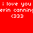 Pixelated text on red, dark red, black, and dark red backgrounds with white text reading 'i love you erin canning (333)' in four quadrants.