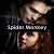 Animated sequence showing a character with long brown hair and dark clothing, with text reading 'Spider Memory' overlaid on the image.