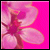 Pixelated pink flower with gradient petals on solid bright pink background, rendered in low-resolution style.
