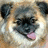 Pixelated close-up of a dog's face with dark ears, black nose, and pink tongue visible against light brown fur.