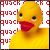 Animated contact sheet showing two frames of a yellow rubber duck mascot with red beak against repeating "quack" text background, displayed in 50x50 pixel format.