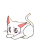 White cartoon cat with pink inner ears and blue eyes in four sequential poses showing eye and head position changes.
