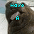 A pixelated brown dog-like creature holds a white object while cyan text changes across to spell 'Have A Happy New Year'