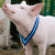 Pixelated image of a light pink pig wearing a blue V-shaped collar, standing against a blurred background with green and brown tones.