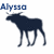 Dark blue moose silhouette with text 'Alyssa' in varying positions across four