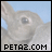 A static image of a light gray seal with a blue background, featuring repeated text elements and a watermark.