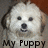 Pixelated image of a white dog's face with dark eyes and nose, mouth showing teeth, below which text reads 'My Puppy' in blocky font.