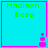 Four identical cyan squares with pink borders, each containing green text 'Madison Bass' and a pink pixelated icon in the bottom-right corner.
