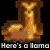 Pixelated llama icons with text overlays on black and cyan backgrounds, featuring color variations and animation effects.