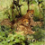 Animals icons for AIM, MSN, MySpace and Yahoo