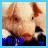 iconhell_sexeyforlyfe_pimp pig