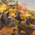 A pixelated image shows a dark-colored horse with a golden mane and pinkish-red mane accents, standing in a field with golden-brown grass under a pale sky.