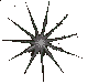 A star-shaped icon with 16 points, each point having a jagged edge and dark outline. The center color cycles through light gray, white, yellow-orange, green, cyan, and back to white across observations.