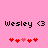 Pixelated text 'Wesley <3' on pink background with red heart symbols below, two identical frames side-by-side.