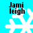 Four identical pixelated snowflakes on cyan background with black text 'Jami leigh' above each, arranged in two of two