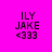 Four identical pixelated text blocks arranged in a , each displaying 'ILY JAKE <333' against distinct solid backgrounds