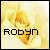 Two side-by-side show a pixelated yellow and white background with the name 'Robyn' in blocky text, where the right 's text has a red gradient overlay