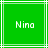 Green background with white lines and pixelated text reading "Nino" in two identical