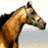 A horse's head and neck in profile, rendered with pixelated textures across four distinct background variations.