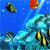 Animals icons for AIM, MSN, MySpace and Yahoo