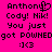 Pixelated text on bright pink background with black lettering, including names, 'POWNED', and a smiley face, with a heart symbol replacing the 'y' in 'Anthony' on the left side.