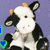 Animated cow icon with black-and-white patches, orange horns, and a blue heart symbol on purple background.