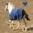 A 48x48 pixel animated buddy icon showing a horse in blue coverings with heart symbols above it, displayed as two sequential frames on a gray background.