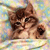 Animals icons for AIM, MSN, MySpace and Yahoo