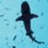 A pixelated shark swims in light blue water above a blue with white text reading "And Won't Live to Be Our Future."