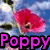 Animated icon with four showing a red flower and hands holding an object, overlaid with colorful text