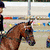 A horse and rider in an equestrian arena with colorful markers, transitioning to a close-up of the horse's legs and a 'Harmony' text overlay.