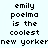 Pixelated text displays 'emily poelma is the coolest new yorker' in two identical vertical on a light background