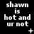 Black background with white pixelated text reading "shawn is hot and ur not" in three , accompanied by small animated symbols