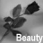 A grayscale animated icon shows a rose with leaves and stem, with the word 'Beauty' overlaid in white text.
