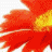 Six distinct color variations of a single abstract flower icon arranged in two , each with white background and pixelated rendering
