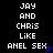 Pixelated text on black background reads 'JAY AND CHRIS LIKE ANEL SEX' with blue star-like symbols, animated to change from '+' to '.' at the end of 'ANEL SEX'.