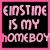six identical square icons with black backgrounds and pink borders displaying 'EINSTINE IS MY HOMEBOY' in pink pixelated text