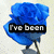 Blue rose with black text overlay changing across frames, set against light background.