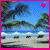 Pixelated beach scene with palm trees, blue sky, and ocean waves; pink border frames the image.