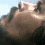 A pixelated close-up of a person's face with light skin tone, showing eyes closed and mouth slightly open against a bright sky background.