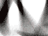 Animated sequence showing red 'E-MAIL' text transforming from abstract wavy lines into clear lettering